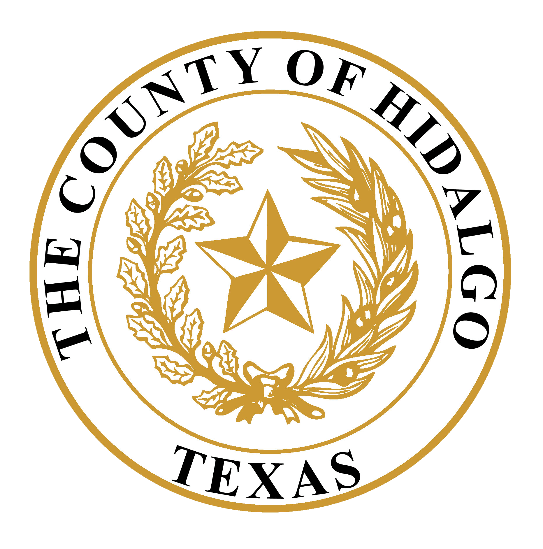 Hidalgo County logo